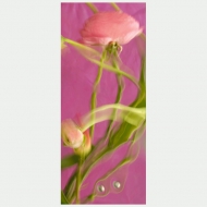 1198-s-bloemenballet_pioenrozen_50x120